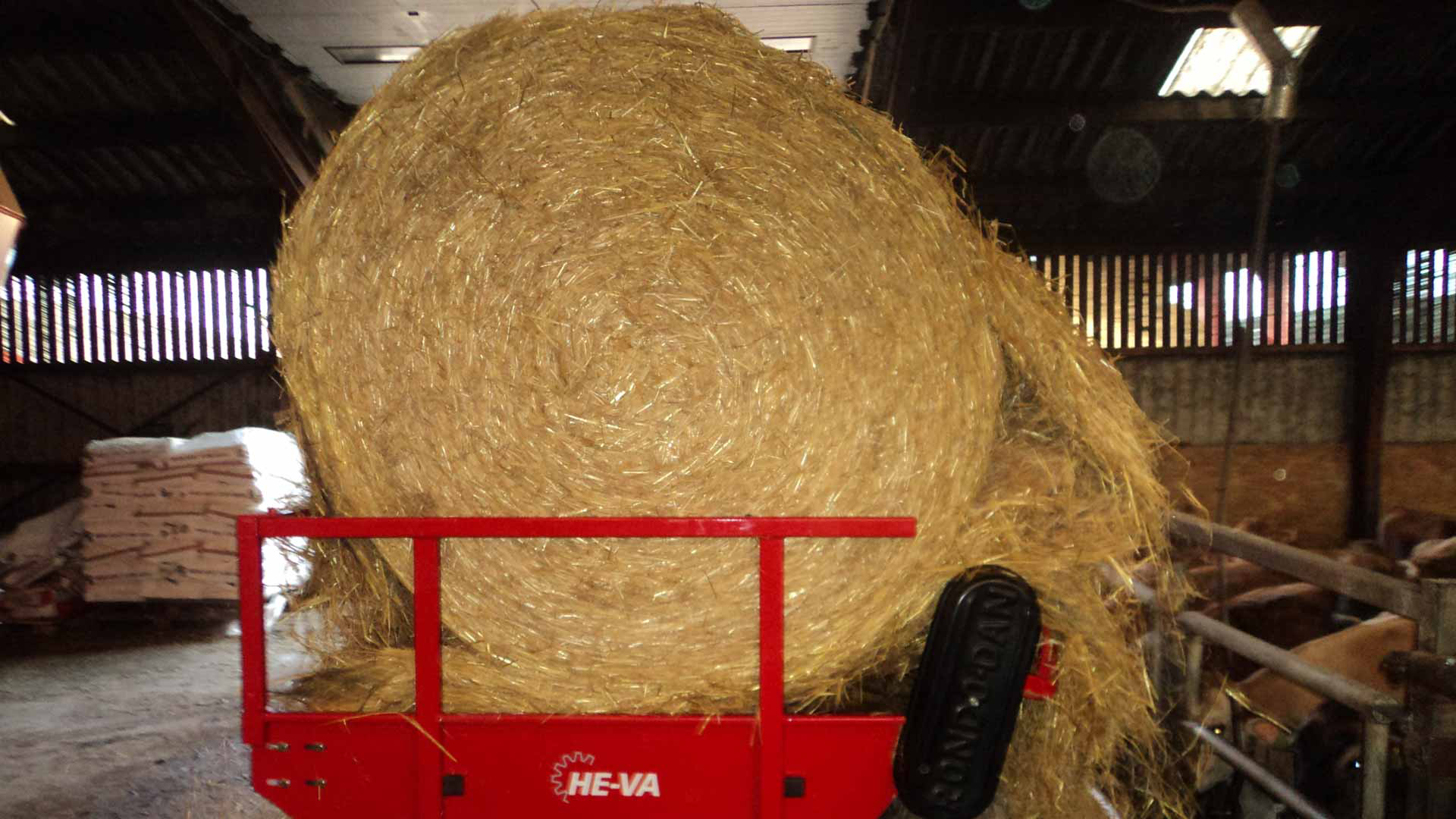 Rundballeafvikler