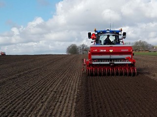Disc-Seeder-seedbed.jpg