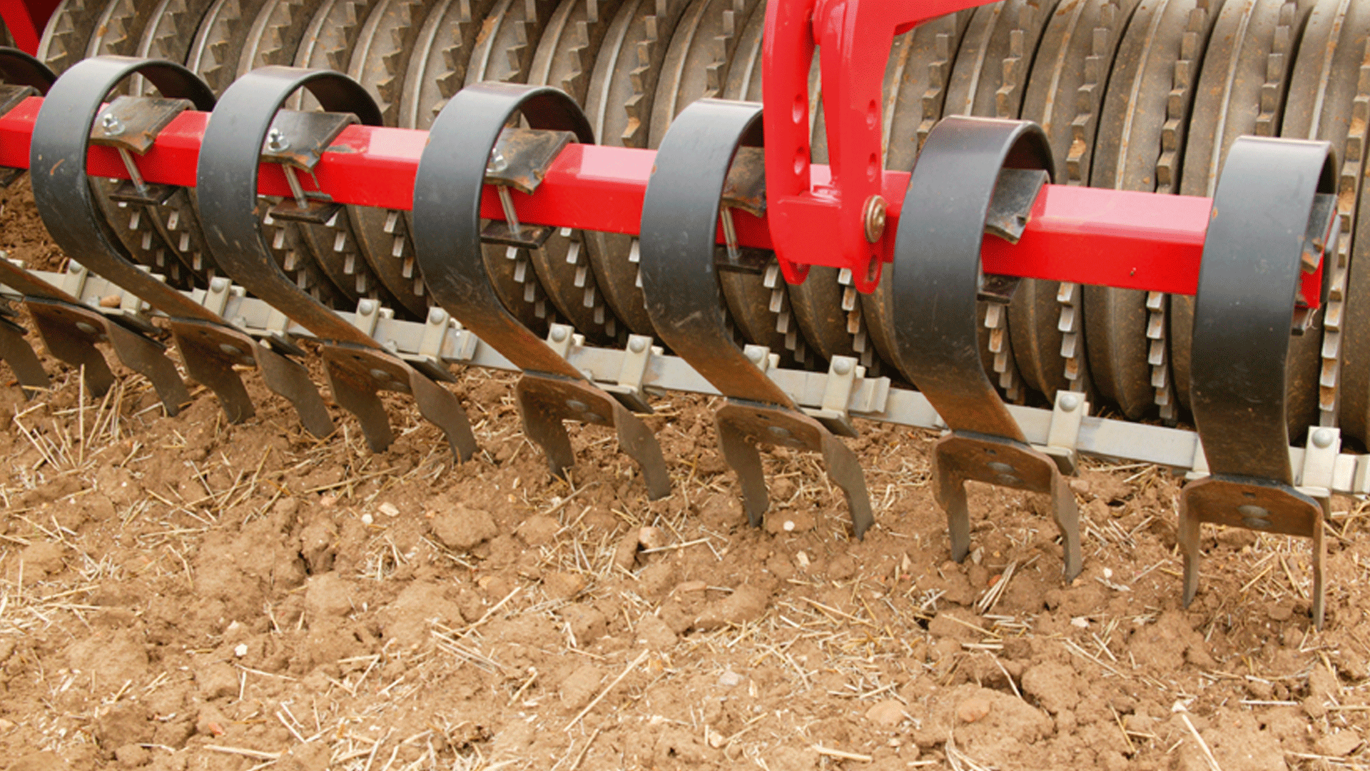 Instead of the regular tines, the Spring-Board can be equipped with slicing plates that efficiently breaks the surface and crushes clods in heavy soil types. These tines can, just as the regular tines, be adjusted hydraulically to increase og reduce the aggressiveness.