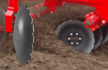 Sabre disc