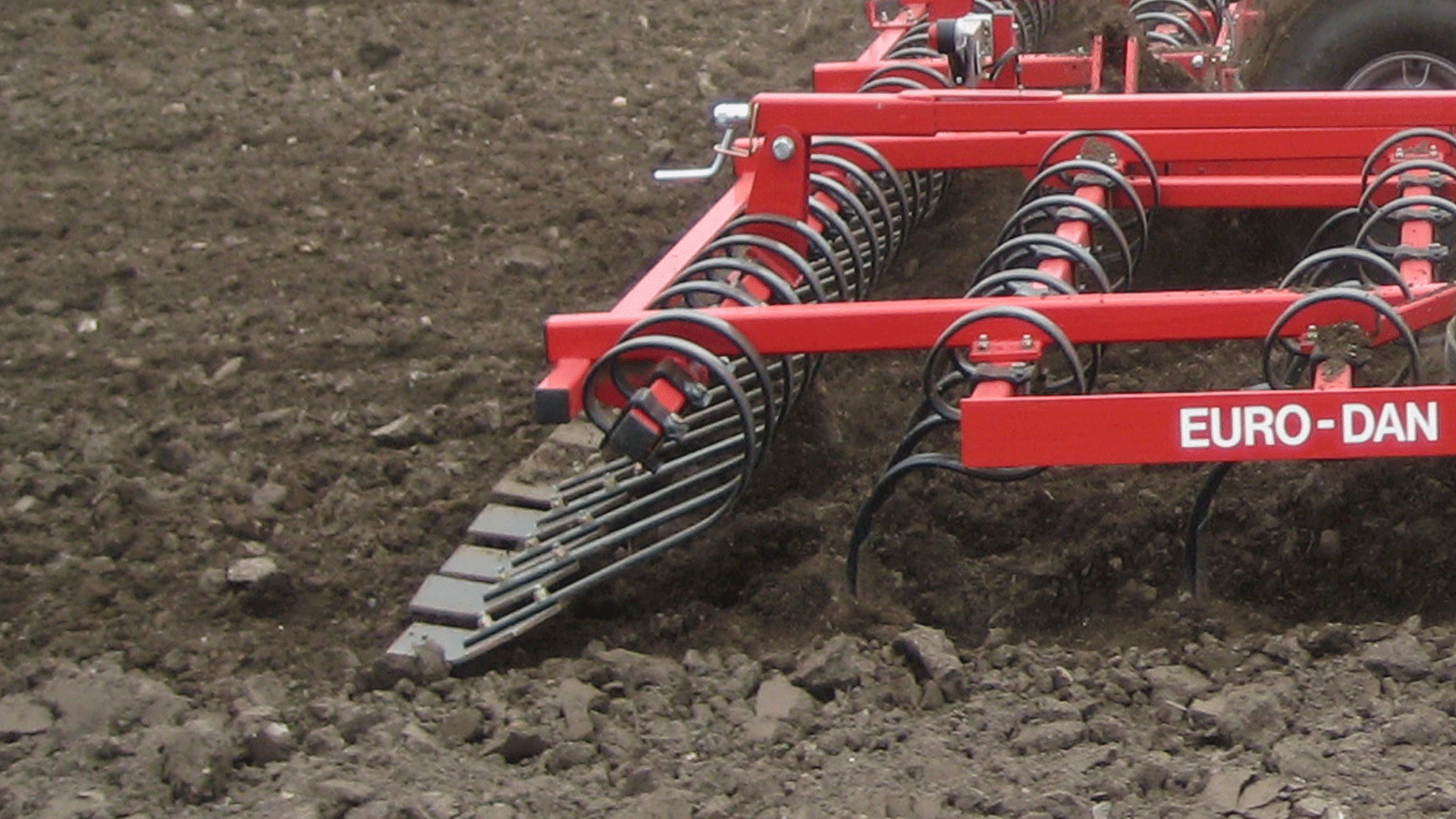 Spring-Board Striegel