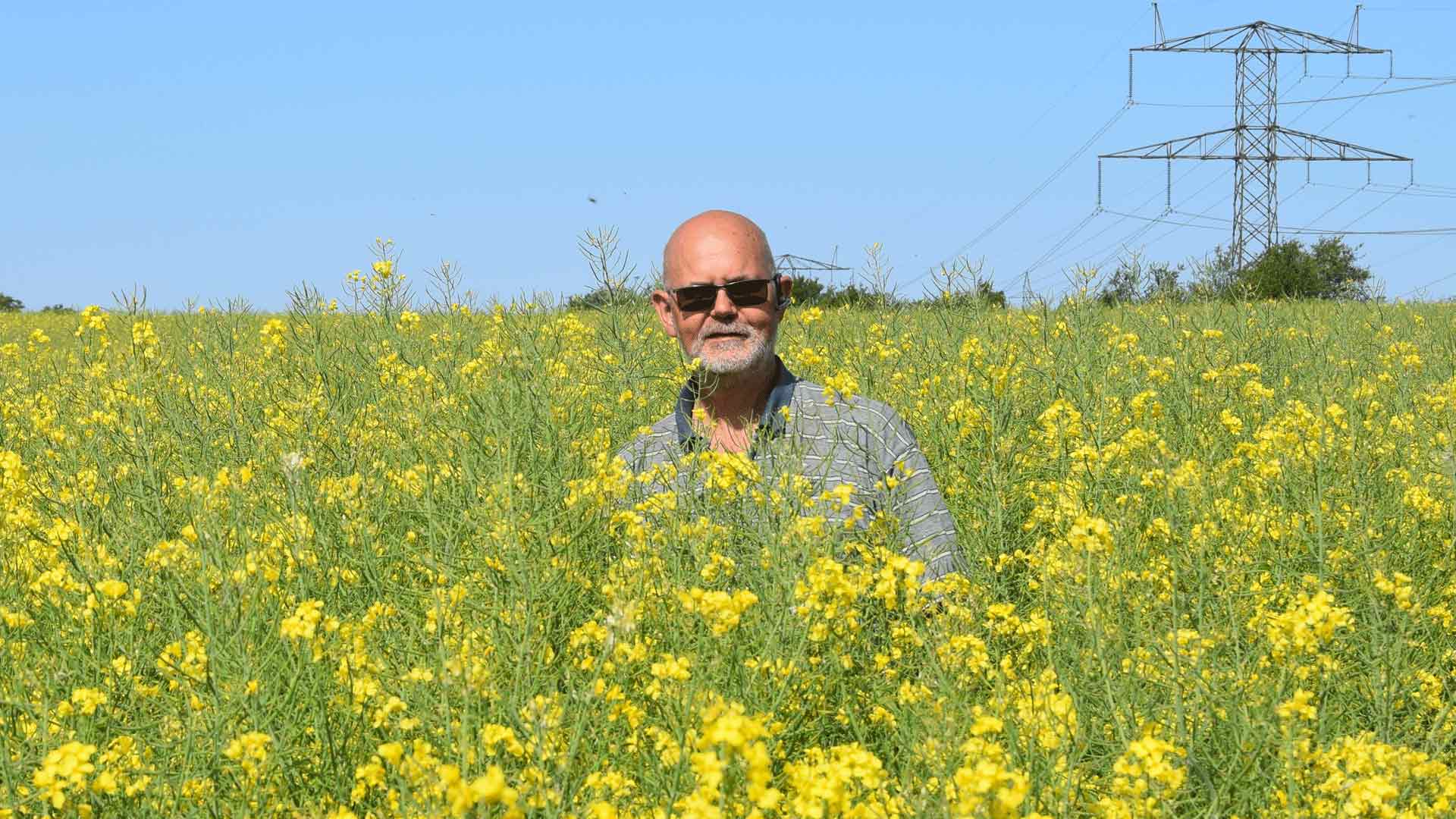 Here is Poul Soerensen in one of his rape fields.