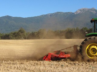 HE-VA-Sub-Tiller-in-stubble-field-in-Chile.jpg