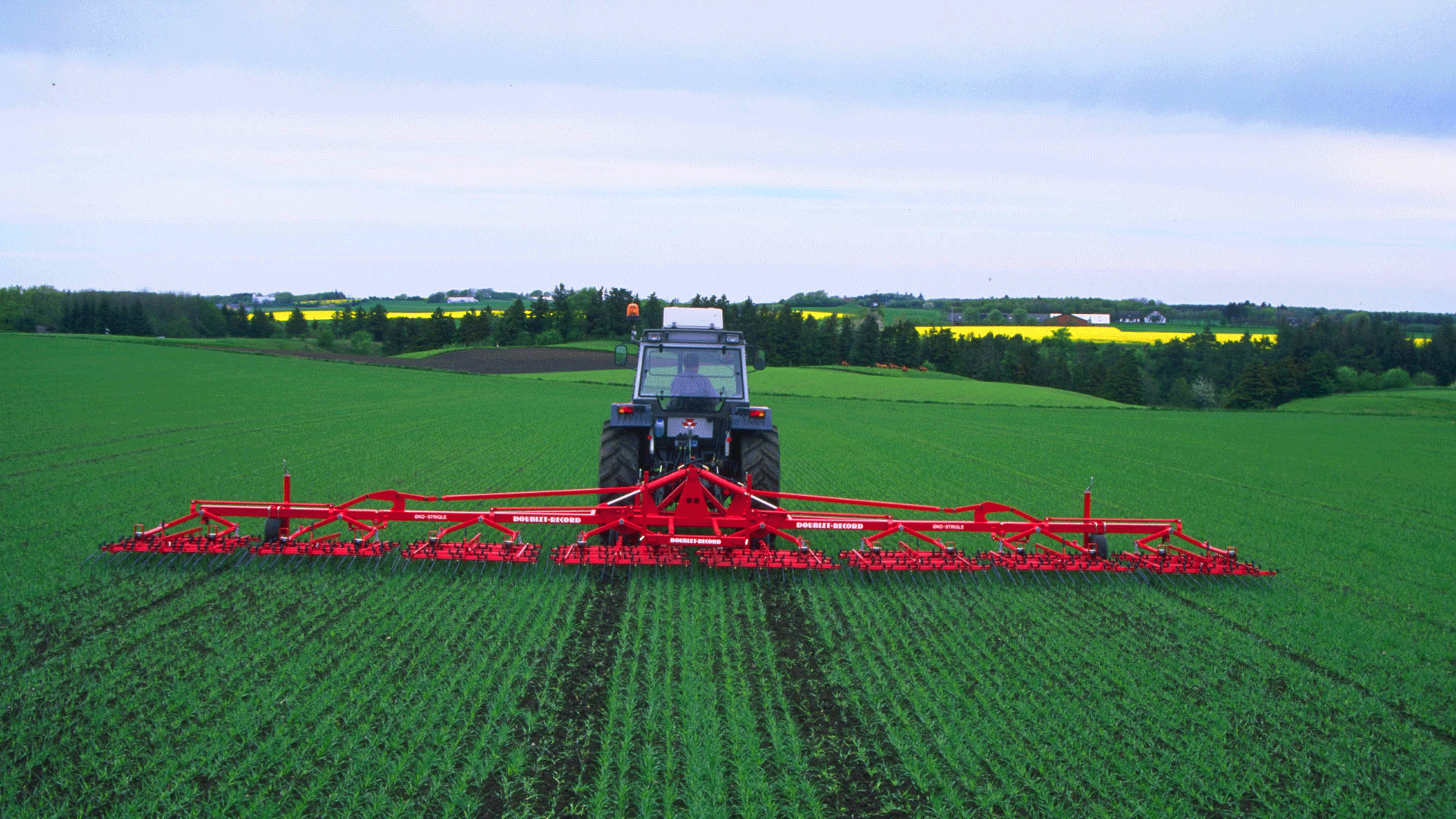 Herses étrilles et bineuses