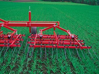 Weeding-field-HEVA-Weeder.jpg
